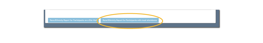 Race/Ethnicity Report for Participants with Meal Attendance at Site Visit